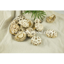 Edible Vegetable Mushroom 4-5cm Dried White Flower Mushrooms